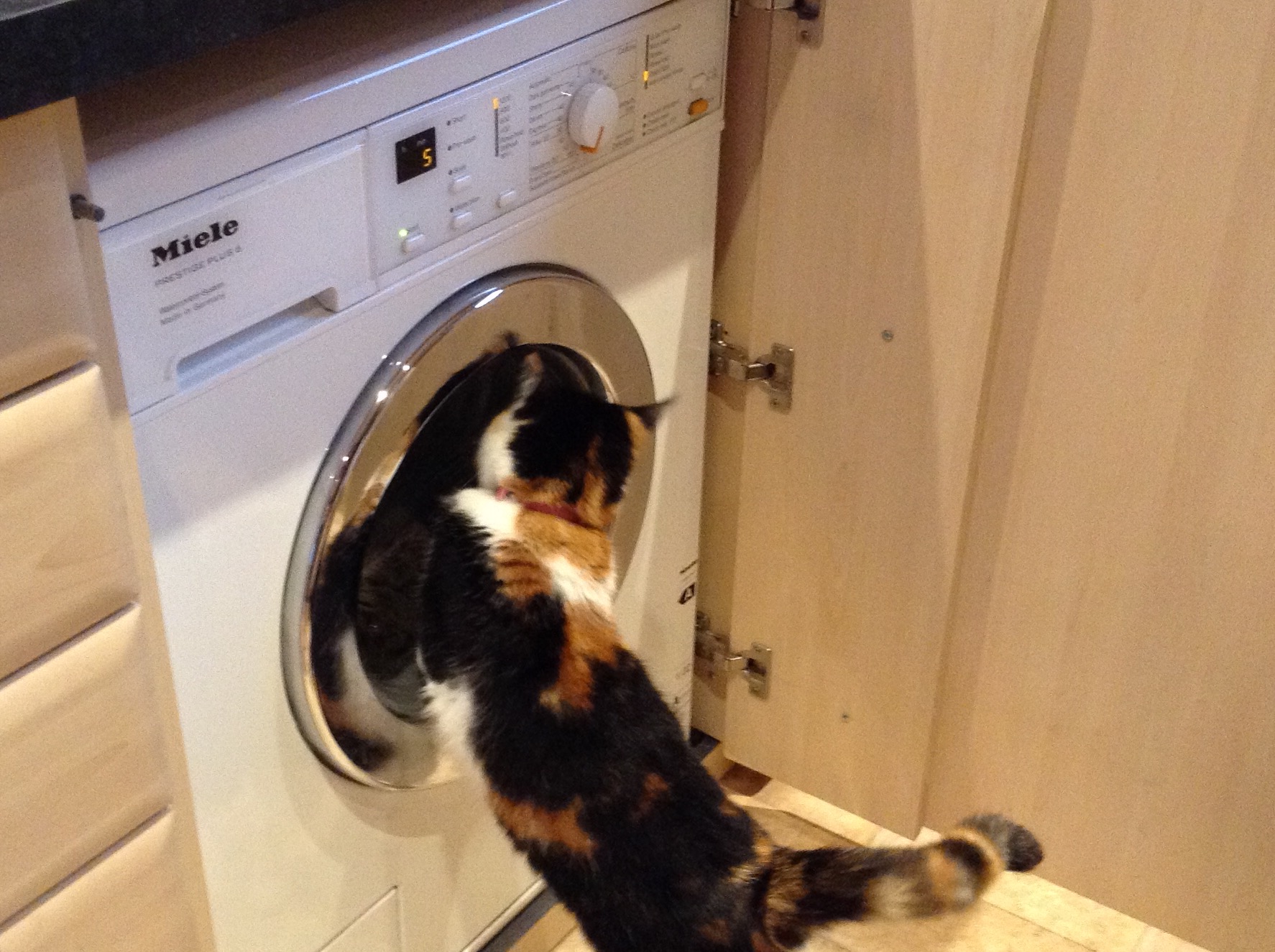 5 Minutes Errington Lodge